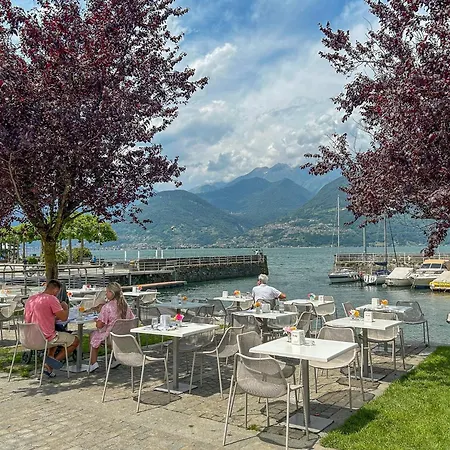 Rose Gialla Firsia Garten Eg Appartement Colico